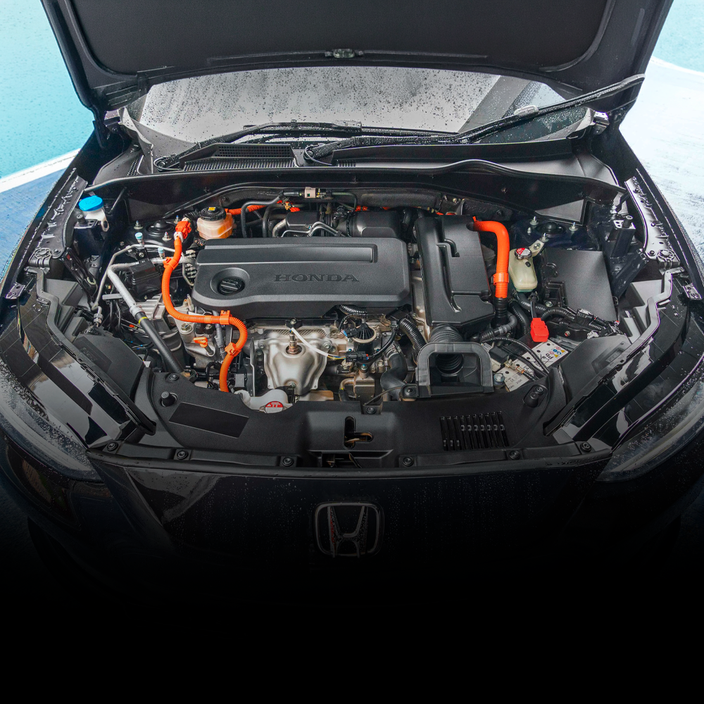 Motor